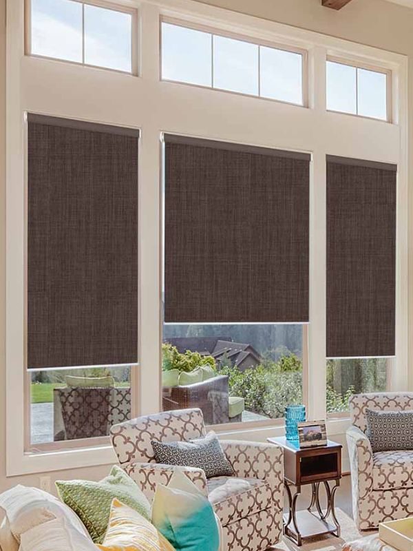 White roller shades in a bright modern Vancouver living room
