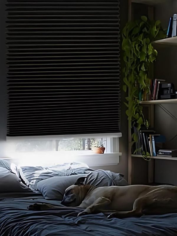 Blackout blinds closed in a Coquitlam bedroom for total darkness