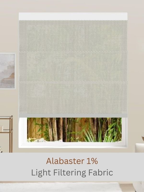 Roller Shade colors